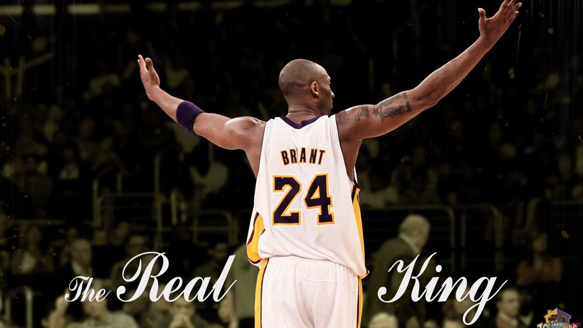 德国希望之星梅尔滕斯挑战长距离极限